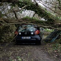 Posljedice oluje Ciaran u Francuskoj