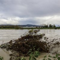 Zagreb: Nabujala Sava kod Podsusedskog mosta nosi naplavine