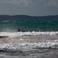 Split: Jako jugo uz more preokrenulo i betonske klupe