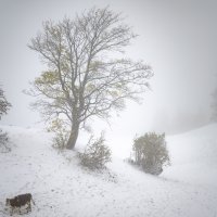 Snijeg u Švicarskoj