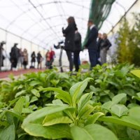 Tomislav Tomašević u rasadniku Markuševec predstavio gradski projekt sadnje drveća