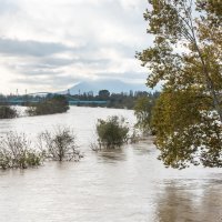 Nabujala rijeka Sava izlila se iz primarnog korita
