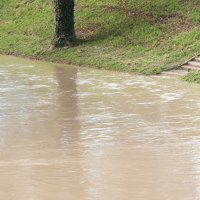 Nabujala rijeka Sava izlila se iz primarnog korita