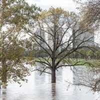 Nabujala rijeka Sava izlila se iz primarnog korita