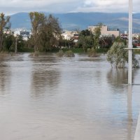 Nabujala rijeka Sava izlila se iz primarnog korita