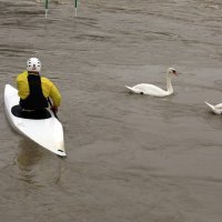 Drava kod Varaždina