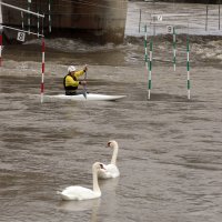 Drava kod Varaždina