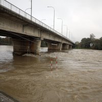 Drava kod Varaždina