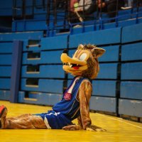 KK Cibona - KK Cedevita Junior