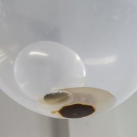 Nika Erjavec - IN_VISIBLE