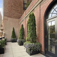 Penthouse Jennifer Lopez