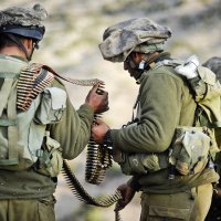 Najrašireniji mitznefeti su oni koje proizvodi tvrtka Agilite