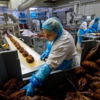 Miodrag Komlenić, majstor za baranjski kulen