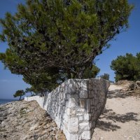 Kamp Zorana Pripuza na Murteru