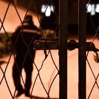 Na Hipodromu zaključali konje u štale i ne puštaju jahače k njima