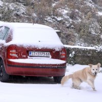 Zbog snijega kod Klisa došlo do nezgode