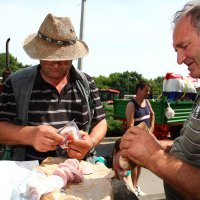 Prosvjed seljaka lipanj 2009.