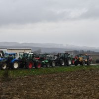 Prosvjed svinjogojaca