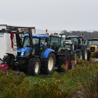 Prosvjed svinjogojaca