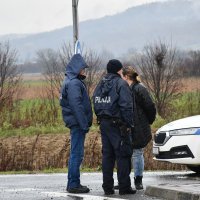 Prosvjed svinjogojaca