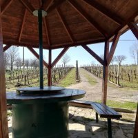 Kuća za odmor Kustura, Ilok