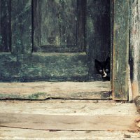 Fotografije Magdalene Blažević tijekom istraživanja za roman