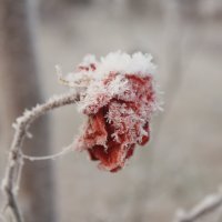 Fotografije Magdalene Blažević tijekom istraživanja za roman