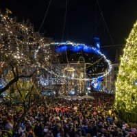 Božićna smreka Tina