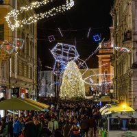 Božićna smreka Tina