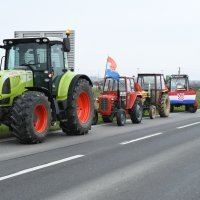 Svinjogojci prosvjeduju i blokiraju promet