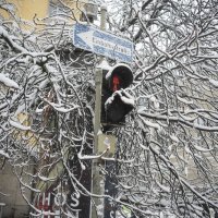 Snijeg u Muenchenu