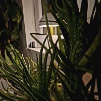 Samsung Galaxy S23 FE primjeri fotografija