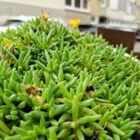 Samsung Galaxy S23 FE primjeri fotografija