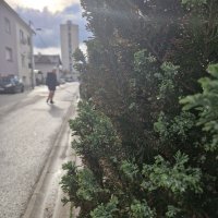 Samsung Galaxy S23 FE primjeri fotografija