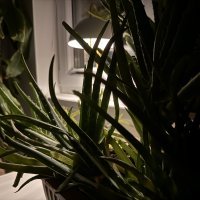 iPhone 15 Pro Max primjeri fotografija