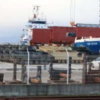 Oklopna vozila Bradley u Rijeci