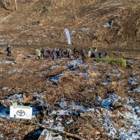 Timskim radom Toyota Croatie zasađeno 3000 novih stabala
