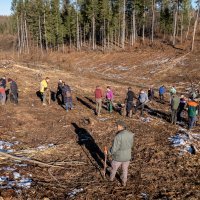 Timskim radom Toyota Croatie zasađeno 3000 novih stabala