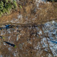 Timskim radom Toyota Croatie zasađeno 3000 novih stabala