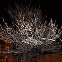 Sućidar, Split: Bura uništila barake u kojoj su bile smještene socijalno ugrožene obitelji