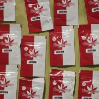 Na GP Karasovići zaplijenjeno 400.000 sjemenki kanabisa