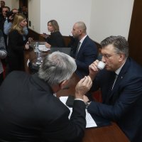 Predstavljanje Damira Habijana