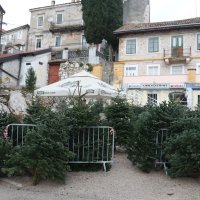 Prodaja božićnih drvaca