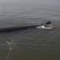 Ukrajinski morski dron