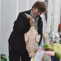 Blagdanske purice, voće i povrće na tržnici u Šibeniku