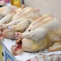 Blagdanske purice, voće i povrće na tržnici u Šibeniku