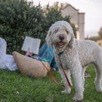 Toplinski val u Australiji