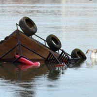 Jutro nakon potonuća splava Kartel u Beogradu