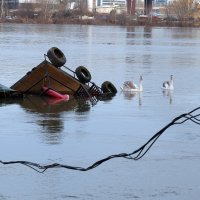 Jutro nakon potonuća splava Kartel u Beogradu