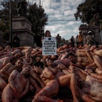 Prosvjedi za prava životinja